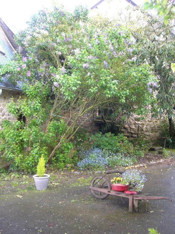 Gites De La Ferme Auberge De Mesauboin Bille Екстер'єр фото